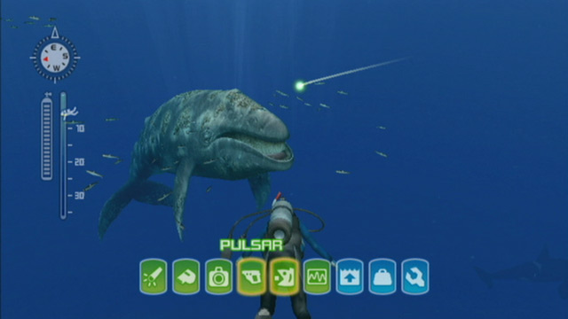 Endless Ocean 2 Screenshot - Nintendo