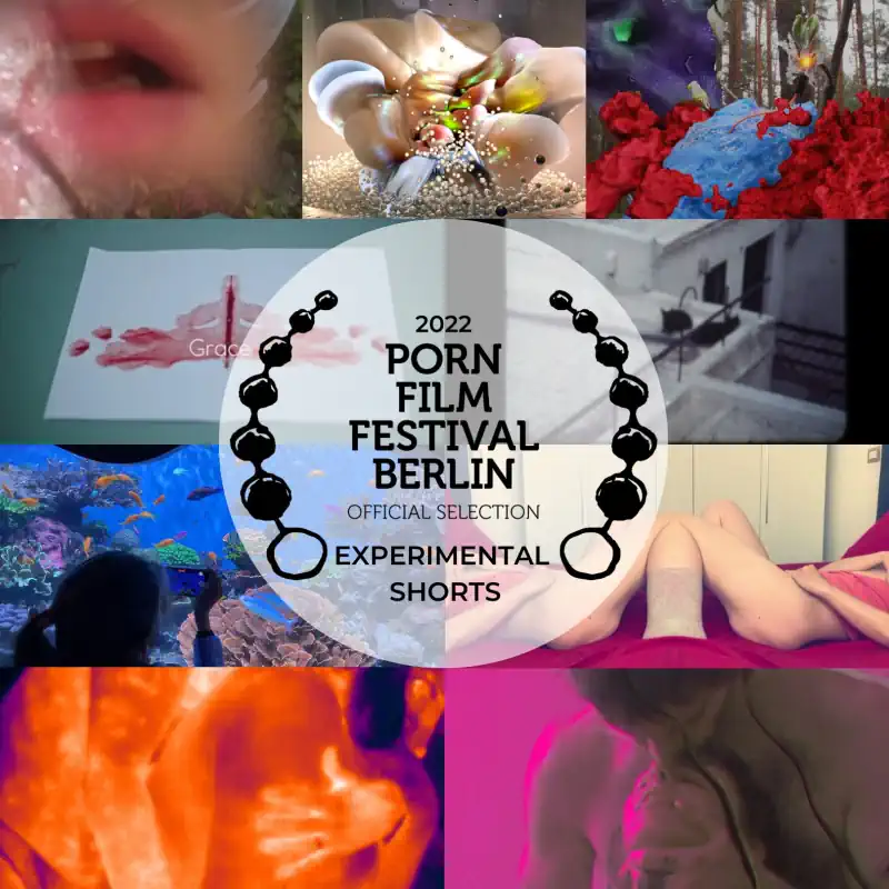 Experimental Porn beim Pornfilmfestival Berlin