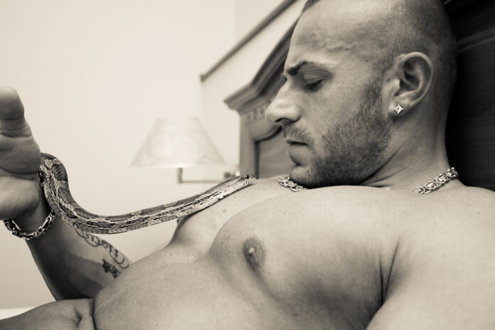 Snake-Dave im Interview: Die Schlange im Regenbogen der Lust Snake-Dave im Interview: Die Schlange im Regenbogen der Lust