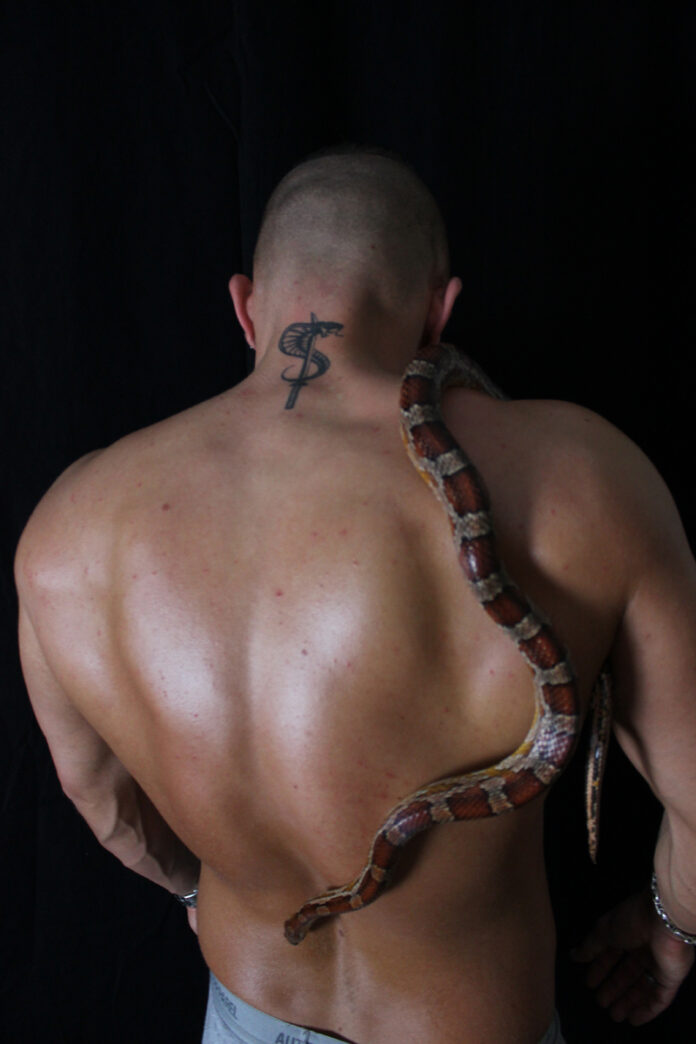 Snake-Dave im Interview: Die Schlange im Regenbogen der Lust Snake-Dave im Interview: Die Schlange im Regenbogen der Lust