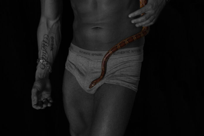 Snake-Dave im Interview: Die Schlange im Regenbogen der Lust Snake-Dave im Interview: Die Schlange im Regenbogen der Lust