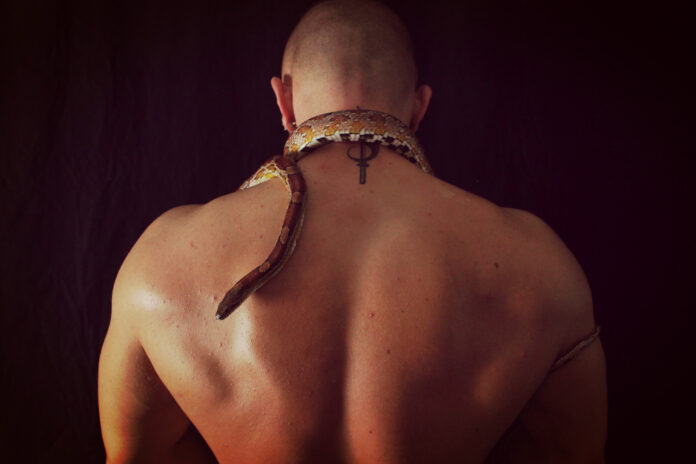 Snake-Dave im Interview: Die Schlange im Regenbogen der Lust Snake-Dave im Interview: Die Schlange im Regenbogen der Lust