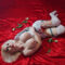 Sweet Mery: GAN Girl des Monats (Mai 2025) Sweet Mery: GAN Girl des Monats (Mai 2025)